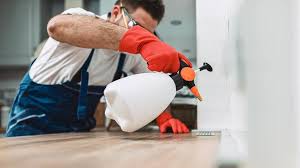 Best Pest Prevention Services  in South Rockwood, MI